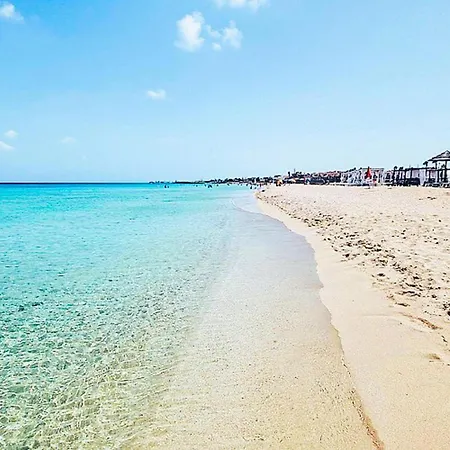 Residenza Flamingo 別荘 *